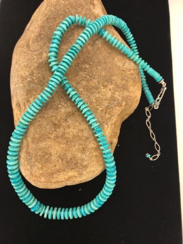 Ultra Rare Sleeping Beauty Turquoise Pendant Necklace & Earrings | Sterling Silver | 20" | 3053