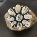 Navajo White Buffalo Turquoise Multi-Stone Ring | Authentic Native American Sterling Silver | Sz 7.5 | 11892