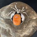 Navajo Spider Pin | Sterling Silver | Orange Spiny Oyster | Authentic Native American Handmade | 13698