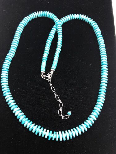 Ultra Rare Sleeping Beauty Turquoise Pendant Necklace & Earrings | Sterling Silver | 20" | 3053