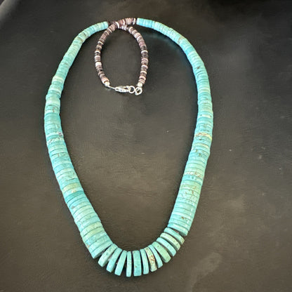 Santo Domingo Stabilized Blue Turquoise Necklace 26” 19599
