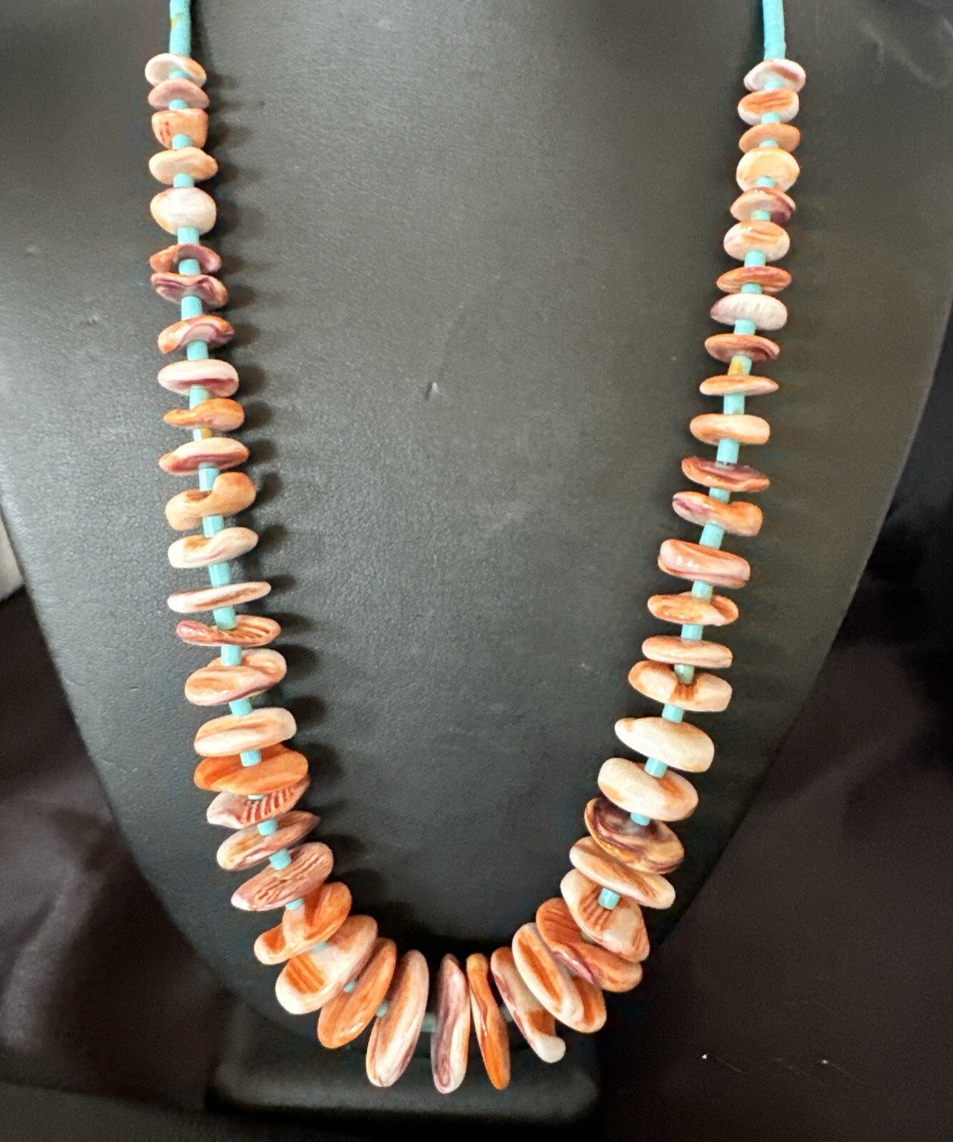 Spiny Oyster Turquoise Heishi Navajo Sterling Silver Necklace 22" 17756