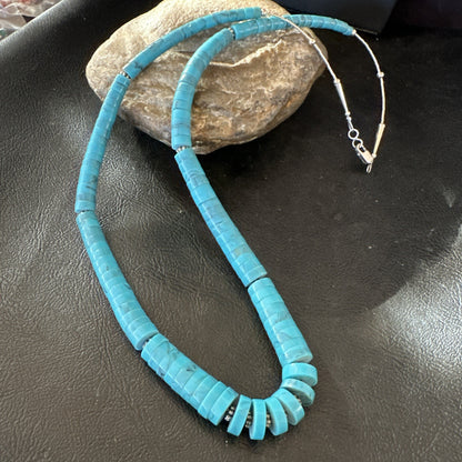 Blue Robin Egg Turquoise Heishi Stabilized Graduated Sterling 23” Necklace 19725