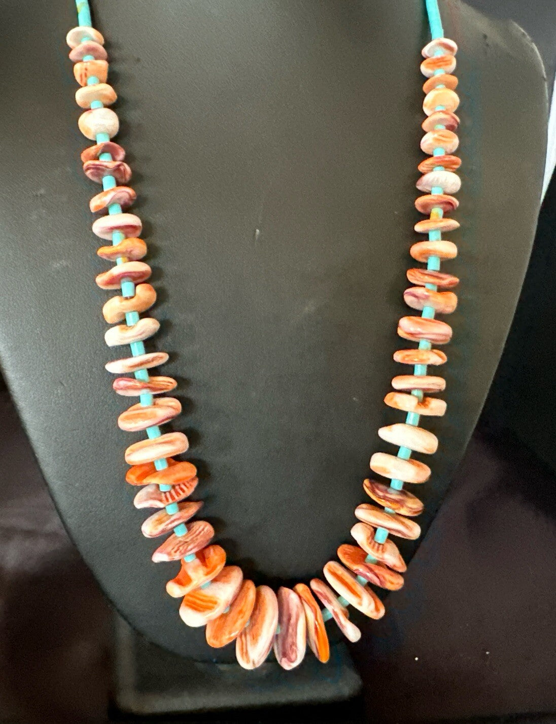 Spiny Oyster Turquoise Heishi Navajo Sterling Silver Necklace 22" 17756