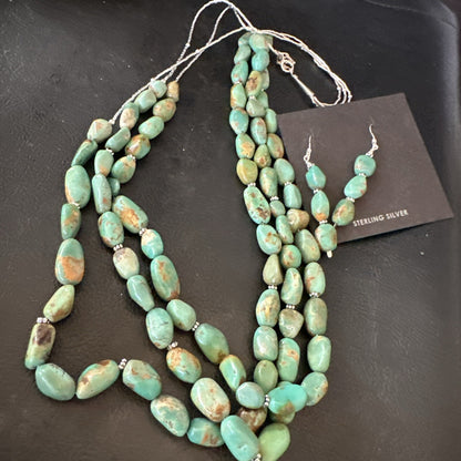 Green Turquoise Heishi 3S Navajo Sterling Silver 22" Necklace Earrings 18568