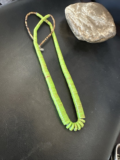 Green Gaspeite Stabilized Santo Domingo Sterling Silver Beads Necklace 24" 19456