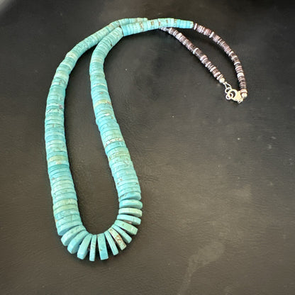 Santo Domingo Stabilized Blue Turquoise Necklace 26” 19599
