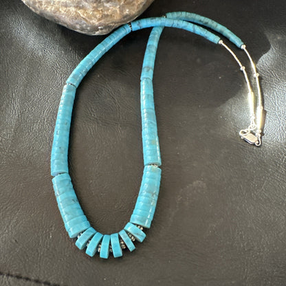 Blue Robin Egg Turquoise Heishi Stabilized Graduated Sterling 23” Necklace 19725