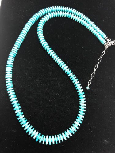 Ultra Rare Sleeping Beauty Turquoise Pendant Necklace & Earrings | Sterling Silver | 20" | 3053