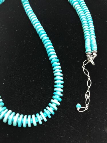 Ultra Rare Sleeping Beauty Turquoise Pendant Necklace & Earrings | Sterling Silver | 20" | 3053
