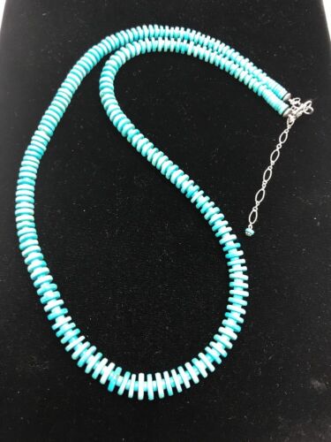 Ultra Rare Sleeping Beauty Turquoise Pendant Necklace & Earrings | Sterling Silver | 20" | 3053
