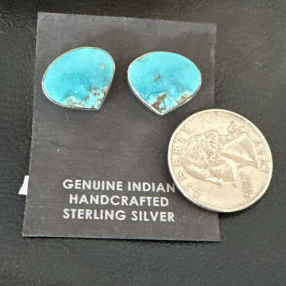 Blue Kingman Turquoise Navajo Sterling Silver Post Stud Earrings 18942