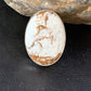 Native American Women's Wild Horse Turquoise Ring | Sz 8 | Sterling Silver | 14027
