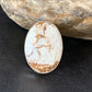 Native American Women's Wild Horse Turquoise Ring | Sz 8 | Sterling Silver | 14027