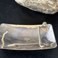 Navajo Blue Kingman Turquoise Belt Buckle Concho | Sterling Silver | Authentic Native American Handmade | 14796