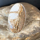 Native American Women's Wild Horse Turquoise Ring | Sz 8 | Sterling Silver | 14024