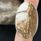Native American Women's Wild Horse Turquoise Ring | Sz 8 | Sterling Silver | 14024