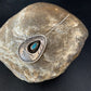 Old Pawn Navajo Hair Pin | Sterling Silver Blue Turquoise | 2.5" | Authentic Native American Handmade | 13729