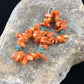 Navajo Orange Coral Turquoise Earrings Set | Sterling Silver | Authentic Native American Handmade | 1776
